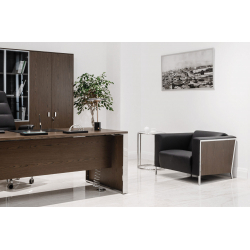 Мягкая мебель Vispo Wood