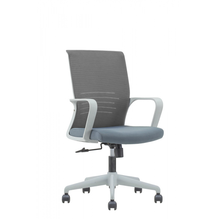 Betta grey Серый Топ-Ган