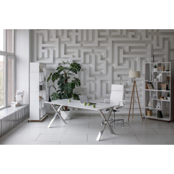 Кабинет руководителя Ancona