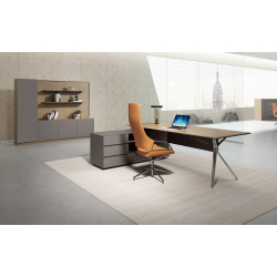 Кабинет руководителя Ares Lux