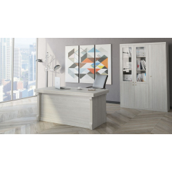 Кабинет руководителя Bern