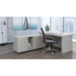 Кабинет руководителя Bern