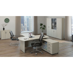 Кабинет руководителя Bonn