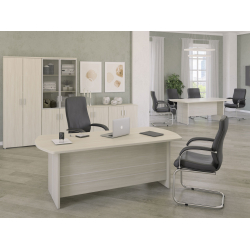 Кабинет руководителя Bonn