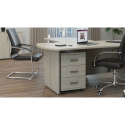 Кабинет руководителя Bonn