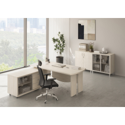 Кабинет руководителя Борн