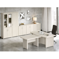 Кабинет руководителя Boston