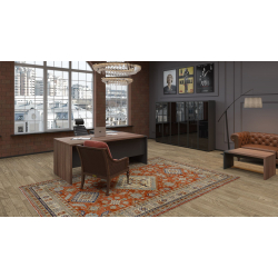 Кабинет руководителя Кортез