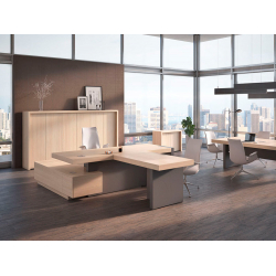 Кабинет руководителя Era