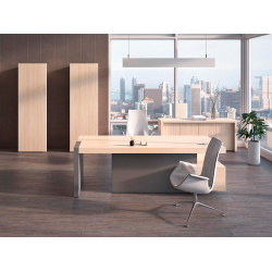 Кабинет руководителя Era