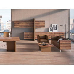 Кабинет руководителя Era