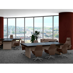 Кабинет руководителя Era