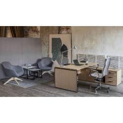 Кабинет руководителя Exe орех/дуб