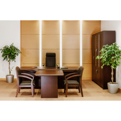 Кабинет руководителя Forte