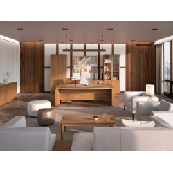 Кабинет руководителя Franklin DM