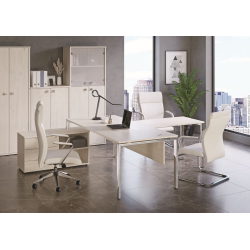 Кабинет руководителя Metal System Direct 