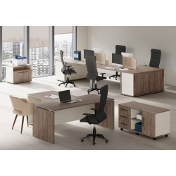 Кабинет руководителя New Line