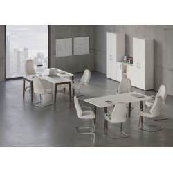 Кабинет руководителя Onix Wood Direct 