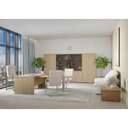 Кабинет руководителя Патриот