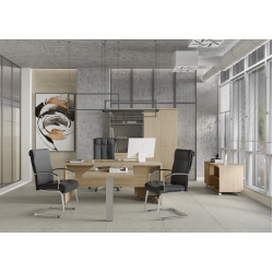 Кабинет руководителя Патриот