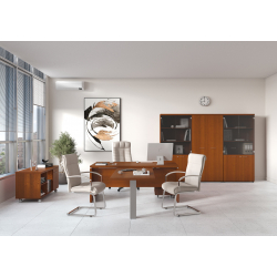 Кабинет руководителя Патриот