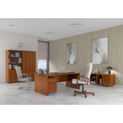 Кабинет руководителя Патриот