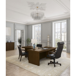 Кабинет руководителя Perseo