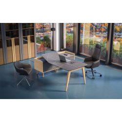 Кабинет руководителя Remo