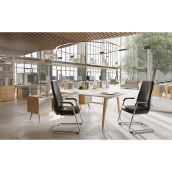 Кабинет руководителя Remo