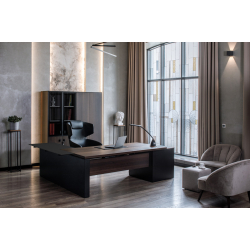 Кабинет руководителя Renz