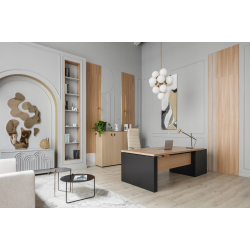 Кабинет руководителя Renz