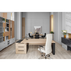 Кабинет руководителя Renz