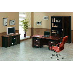 Кабинет руководителя Torino-Milano