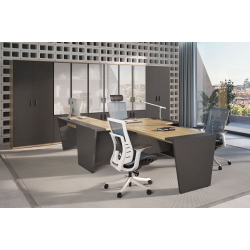 Кабинет руководителя Tower