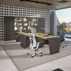 Кабинет руководителя Tower