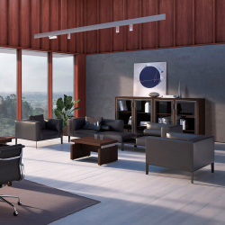 Кабинет руководителя Triumf