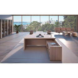 Кабинет руководителя Triumf