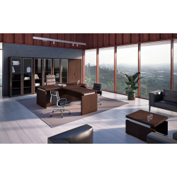 Кабинет руководителя Triumf