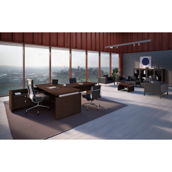 Кабинет руководителя Triumf