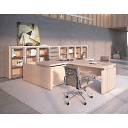 Кабинет руководителя Triumf