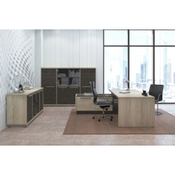 Кабинет руководителя Vestar