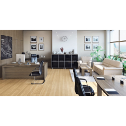 Кабинет руководителя Yalta (Ялта)