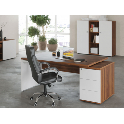 Кабинет руководителя Zion