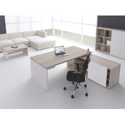 Кабинет руководителя Zion