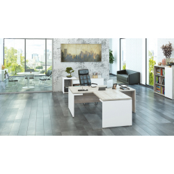 Кабинет руководителя Zion