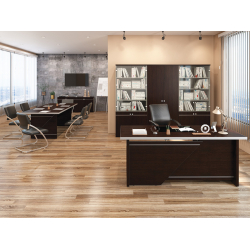 Кабинет руководителя Zoom