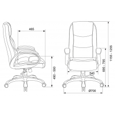 Кресло руководителя Бюрократ CH-S840N