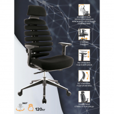 Кресло руководителя Everprof Ergo Black Ткань Черный