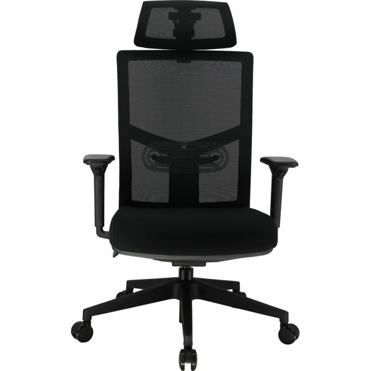 Кресло руководителя Everprof Fuji Сетка Черный