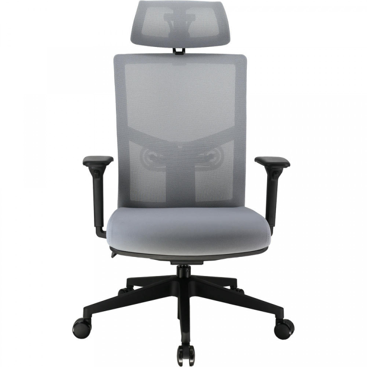 Кресло руководителя Everprof Fuji Сетка Серый